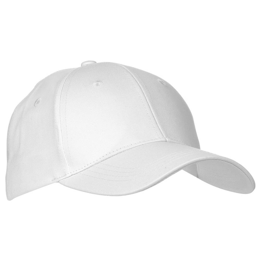 cappellino payper illinois