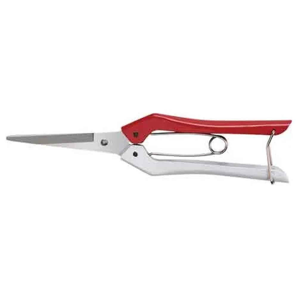 forbici coglifrutta cardinale 20 cm
