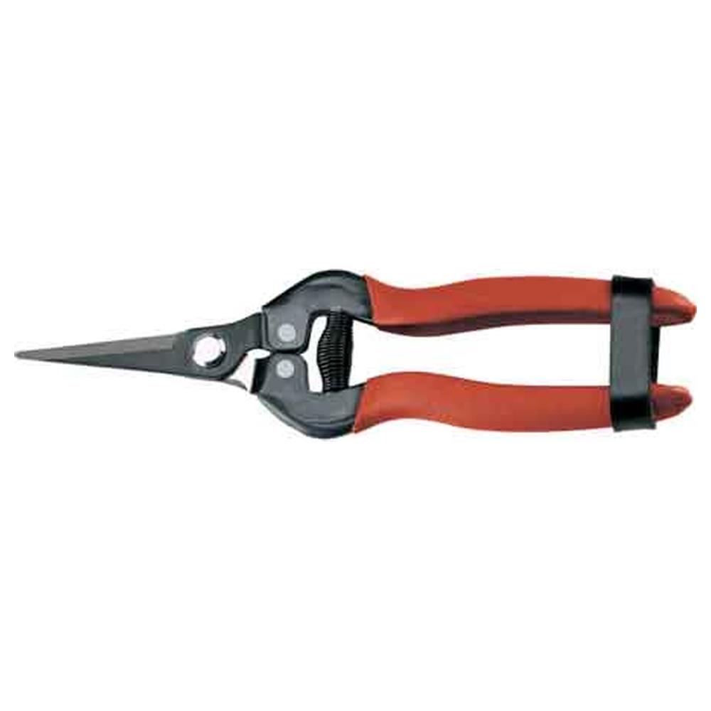 forbici coglifrutta e ortaggi ausonia 19 cm
