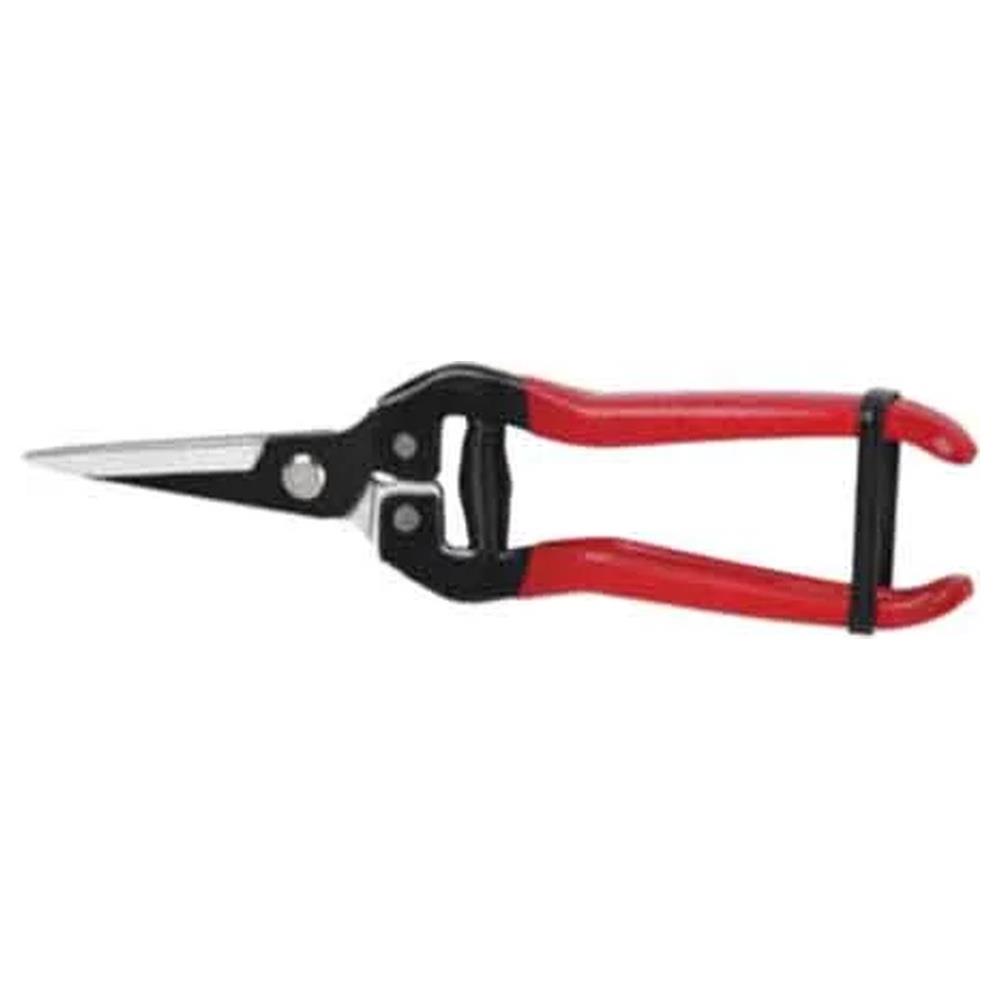 forbici coglifrutta e ortaggi cardinale 19 cm