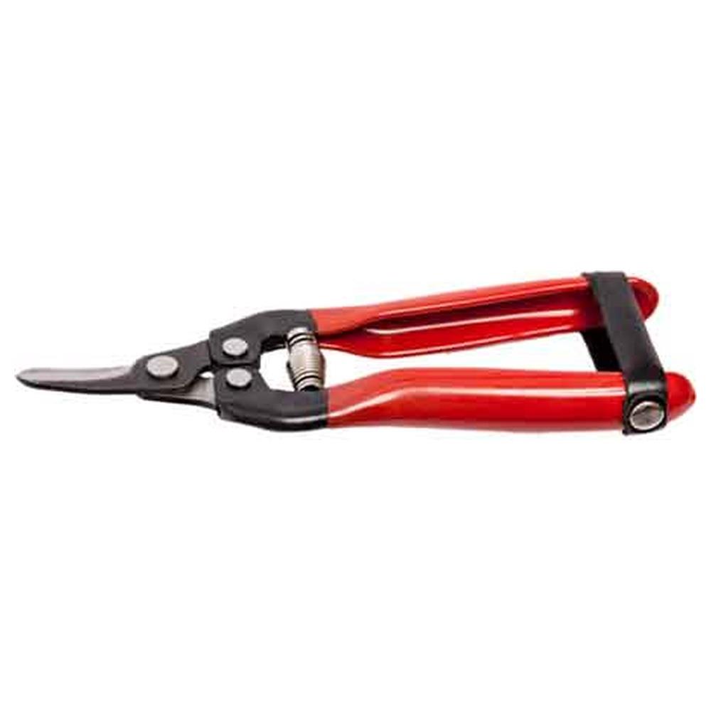 forbici cogliuva 16 falci  16 cm