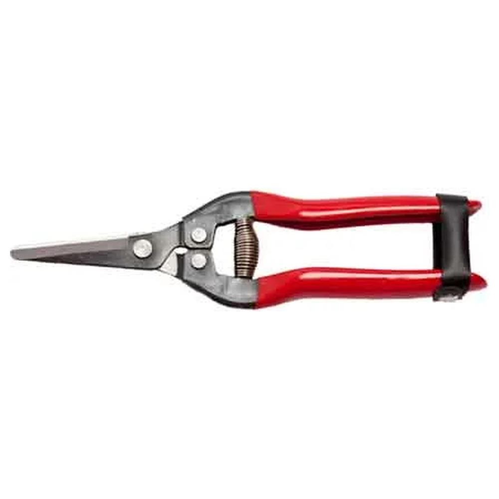 forbici cogliuva 19 falci 19 cm