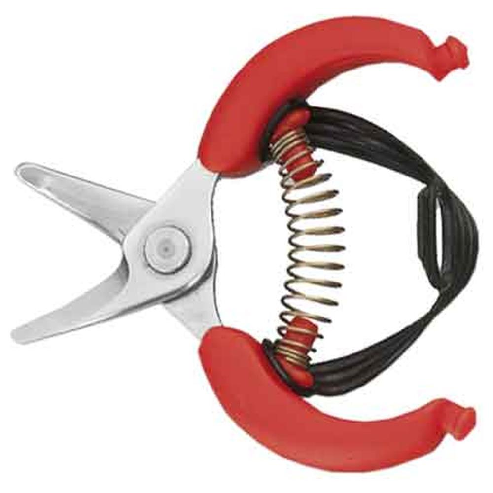 forbici per agrumi 10,5 ausonia 10,5 cm