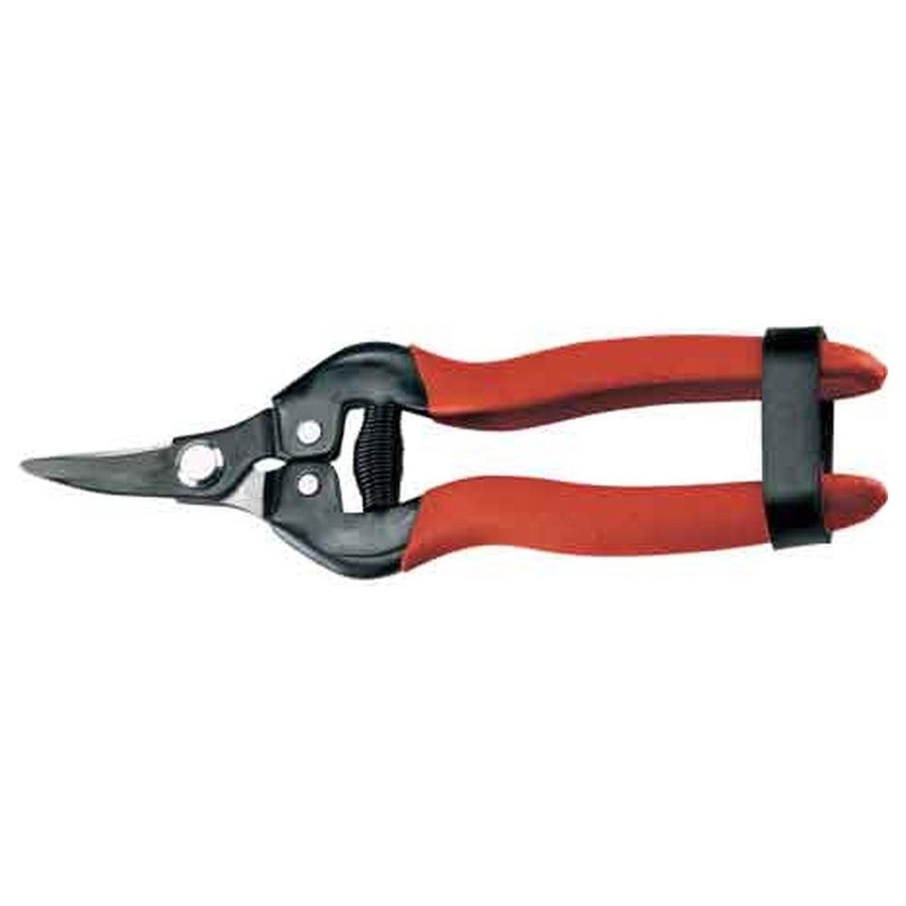 forbici per agrumi 16 ausonia 16 cm