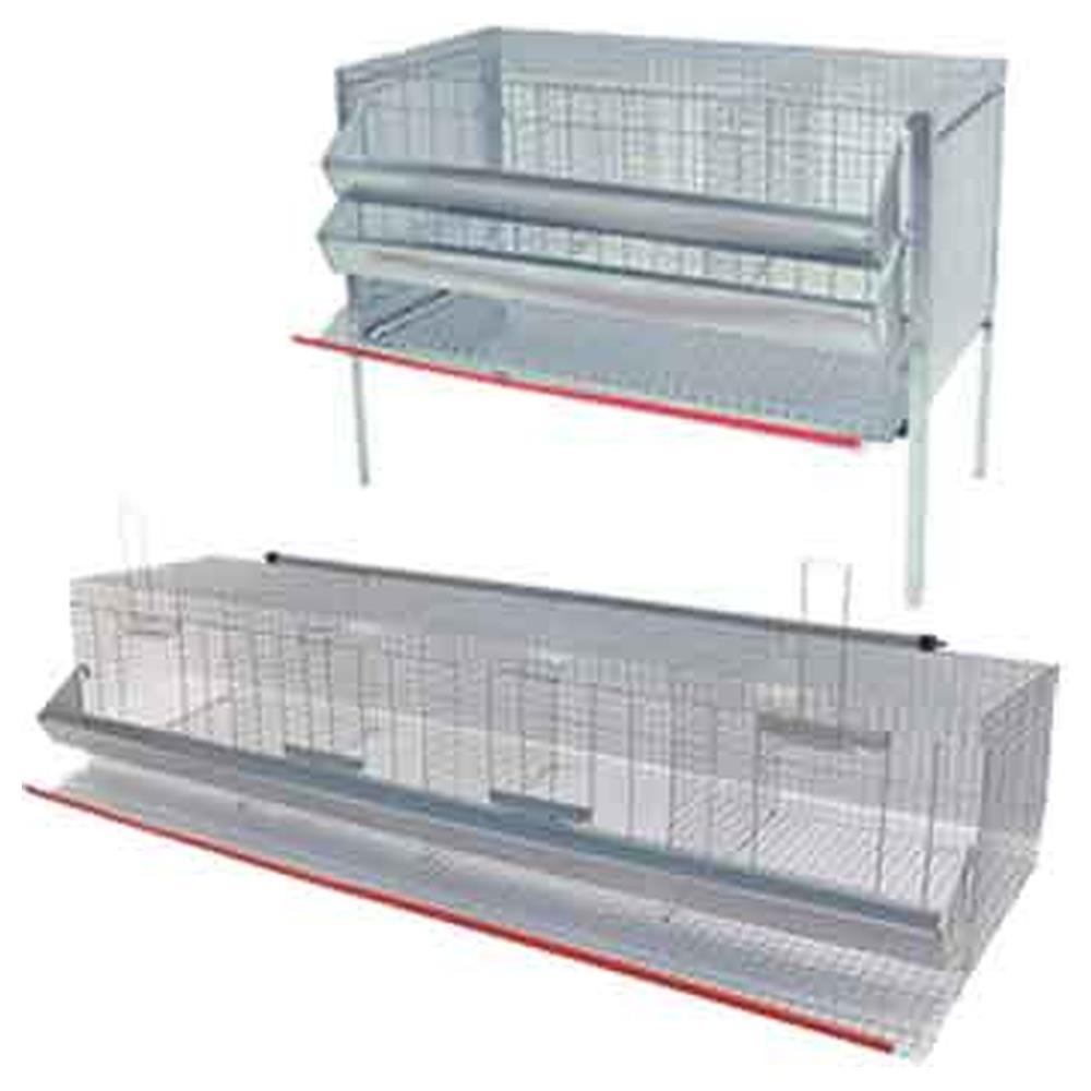 gabbia per galline ovaiole