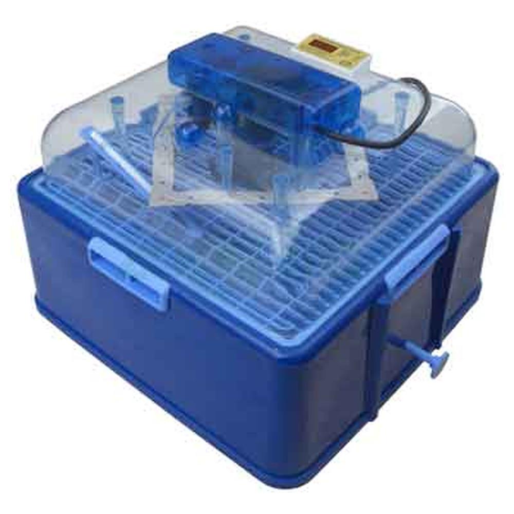 incubatrice digitale af-24