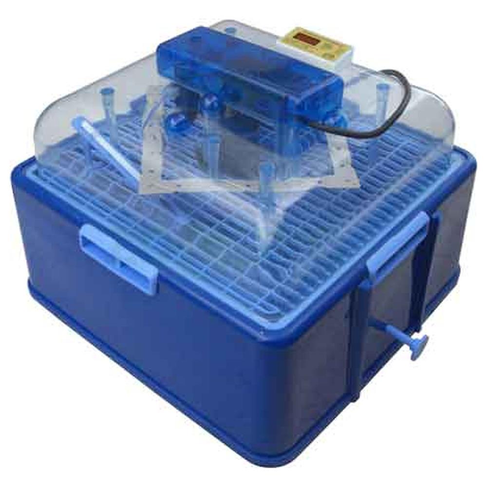 incubatrice digitale af-50