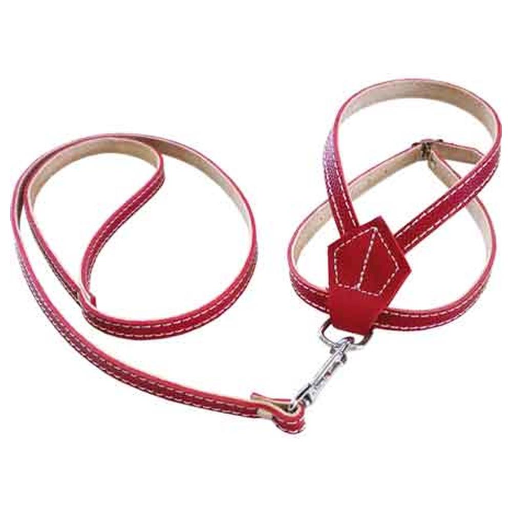 parure per cani