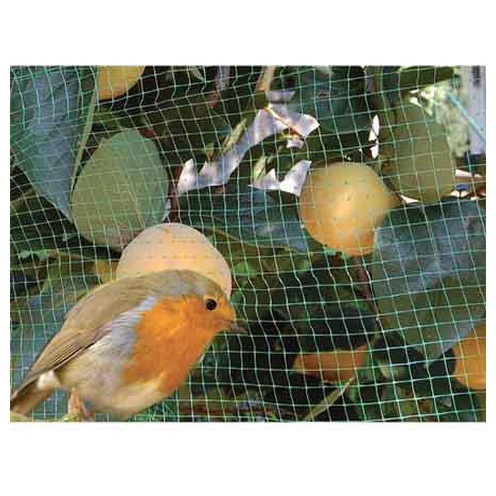rete antiuccelli cardinale