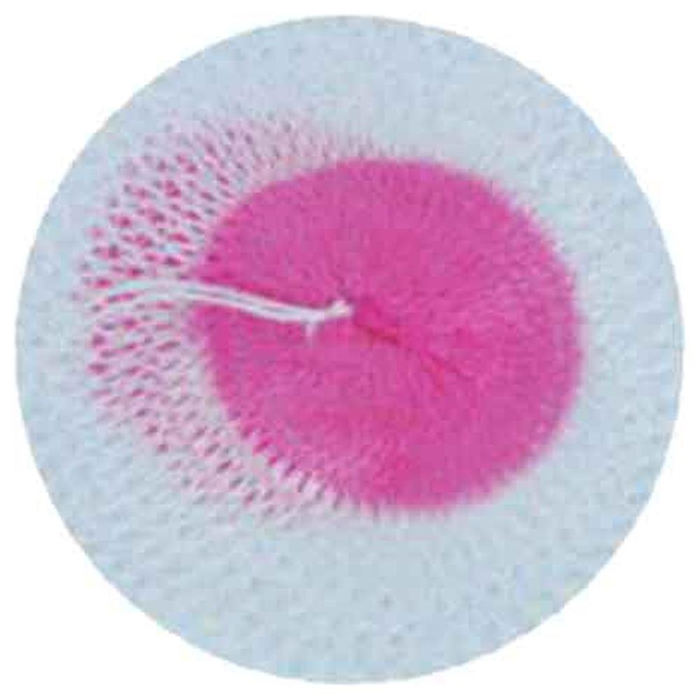 retina per lampada a gas