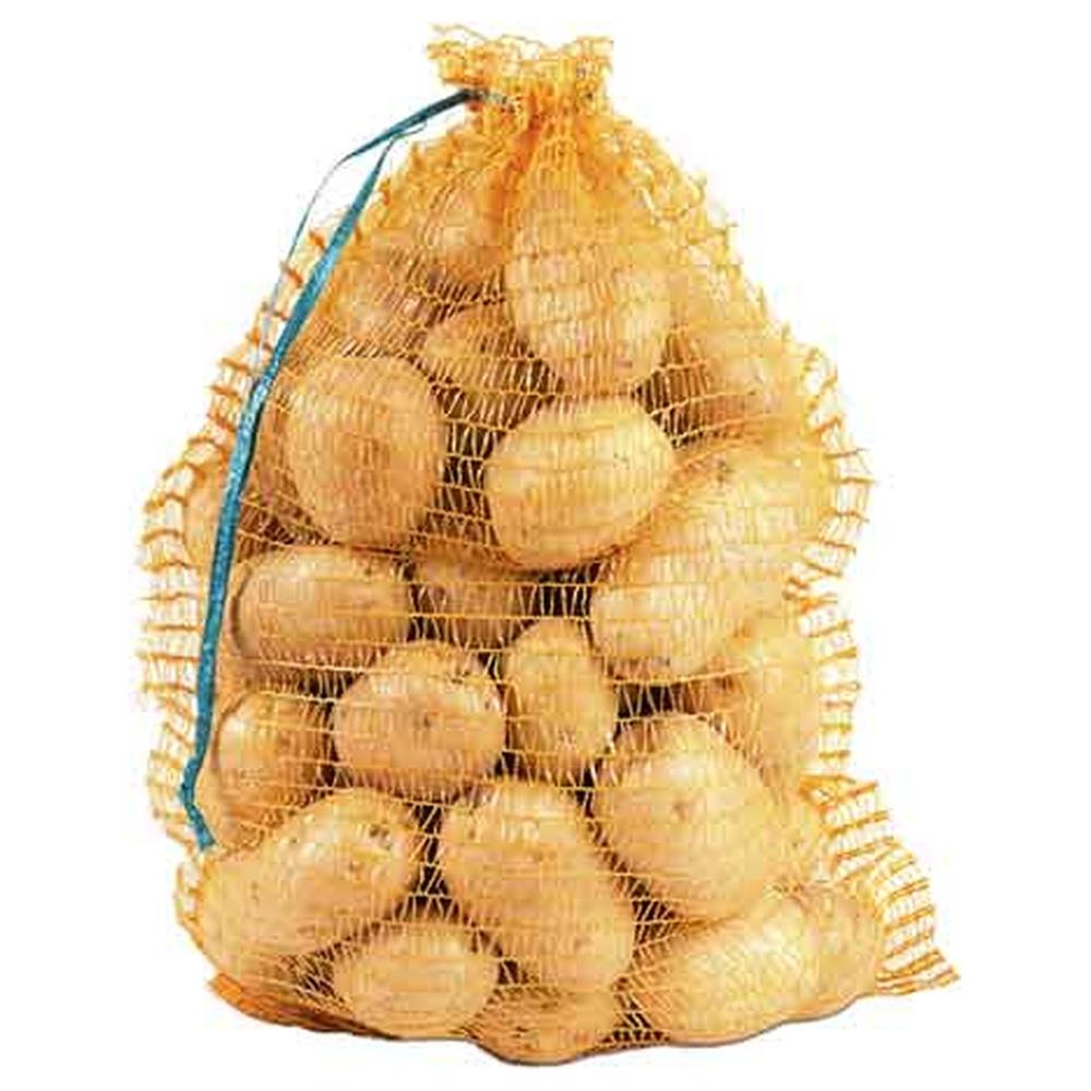 sacco raschel