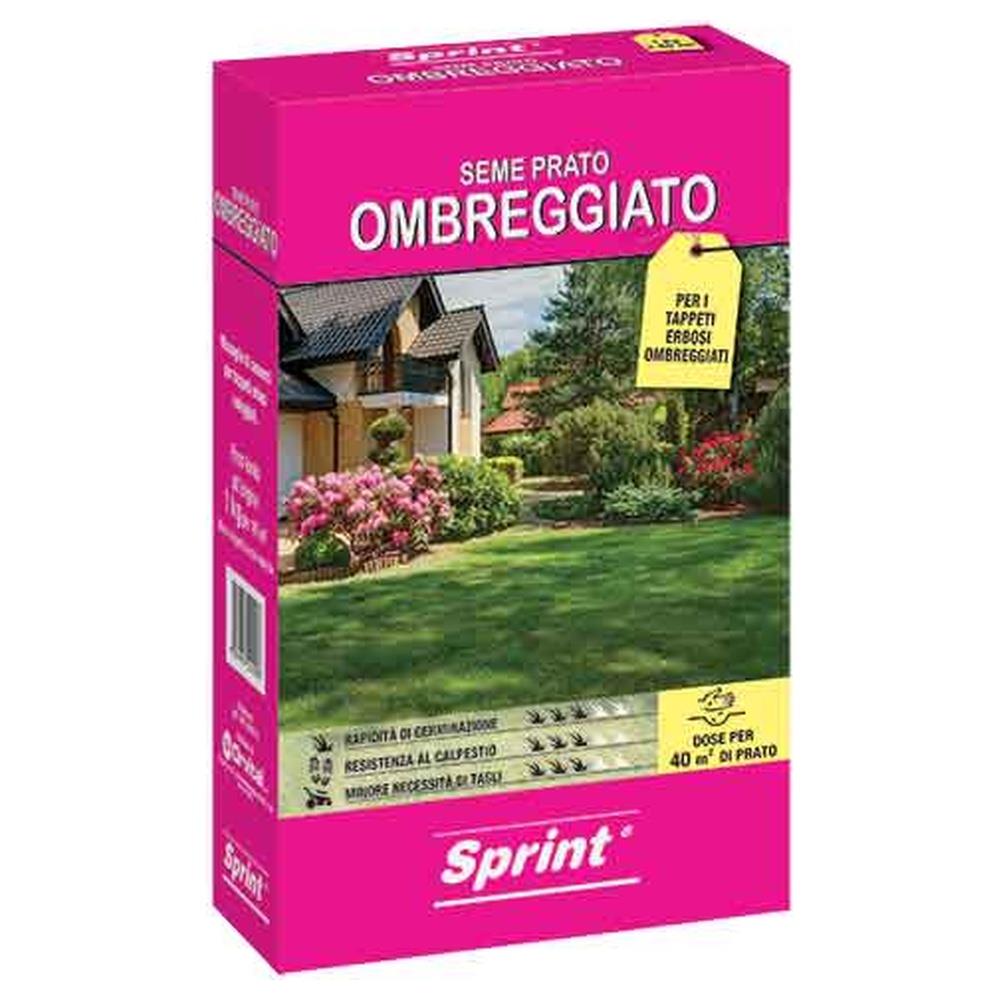 semi per prato ombreggiato 1 kg