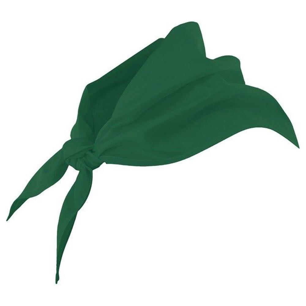 triangolo velilla  cod 404003 verde foresta