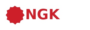 Ngk