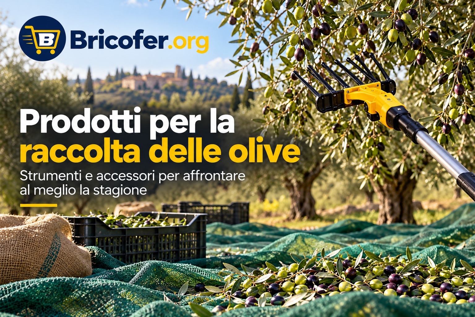 Raccolta delle Olive con Bricofer